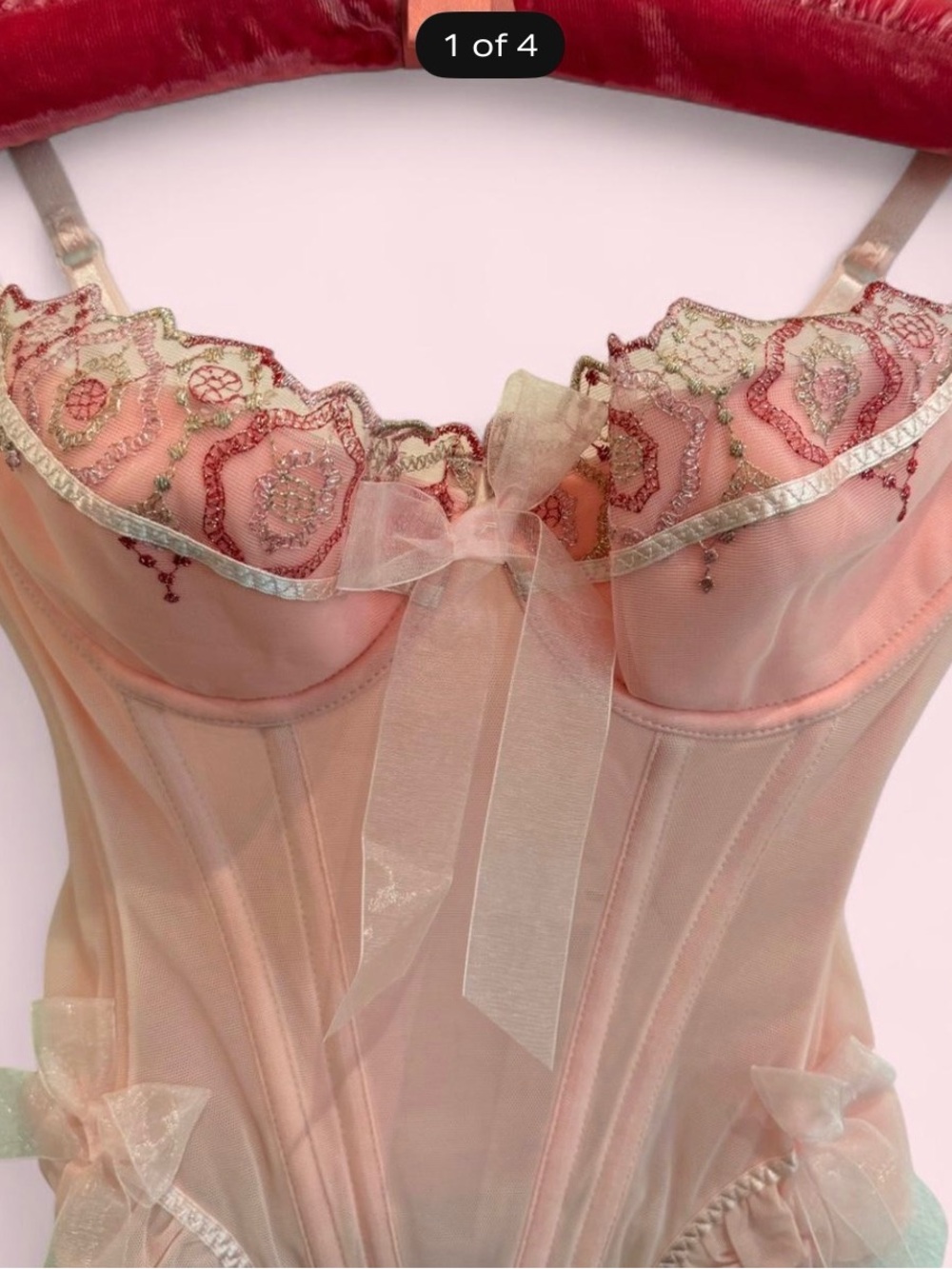 Necessary Objects Blush Pink Embroidered Sheer Bustier